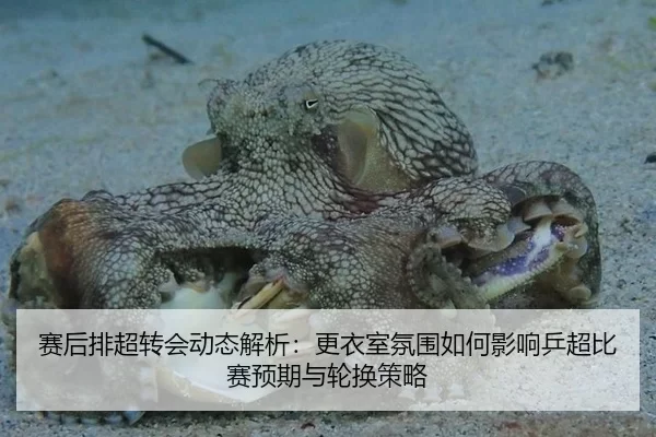 赛后排超转会动态解析：更衣室氛围如何影响乒超比赛预期与轮换策略